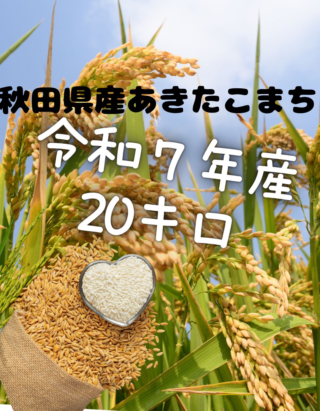 令和7年産あきたこまち20キロ秋田県産 - メルカリ