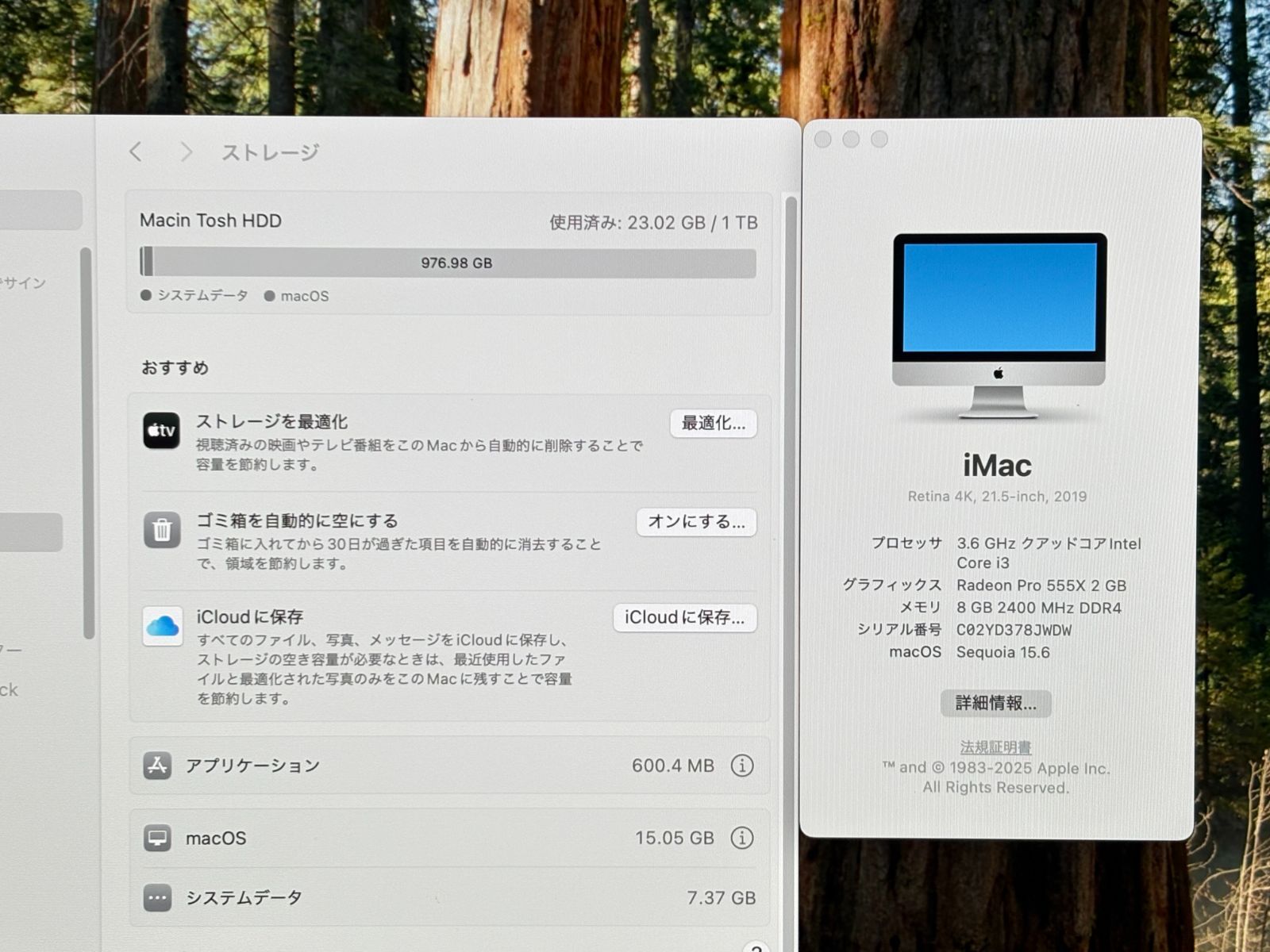 良品 21.5インチ】Apple iMac (Retina 4K， 21.5-inch， 2019) A2116 