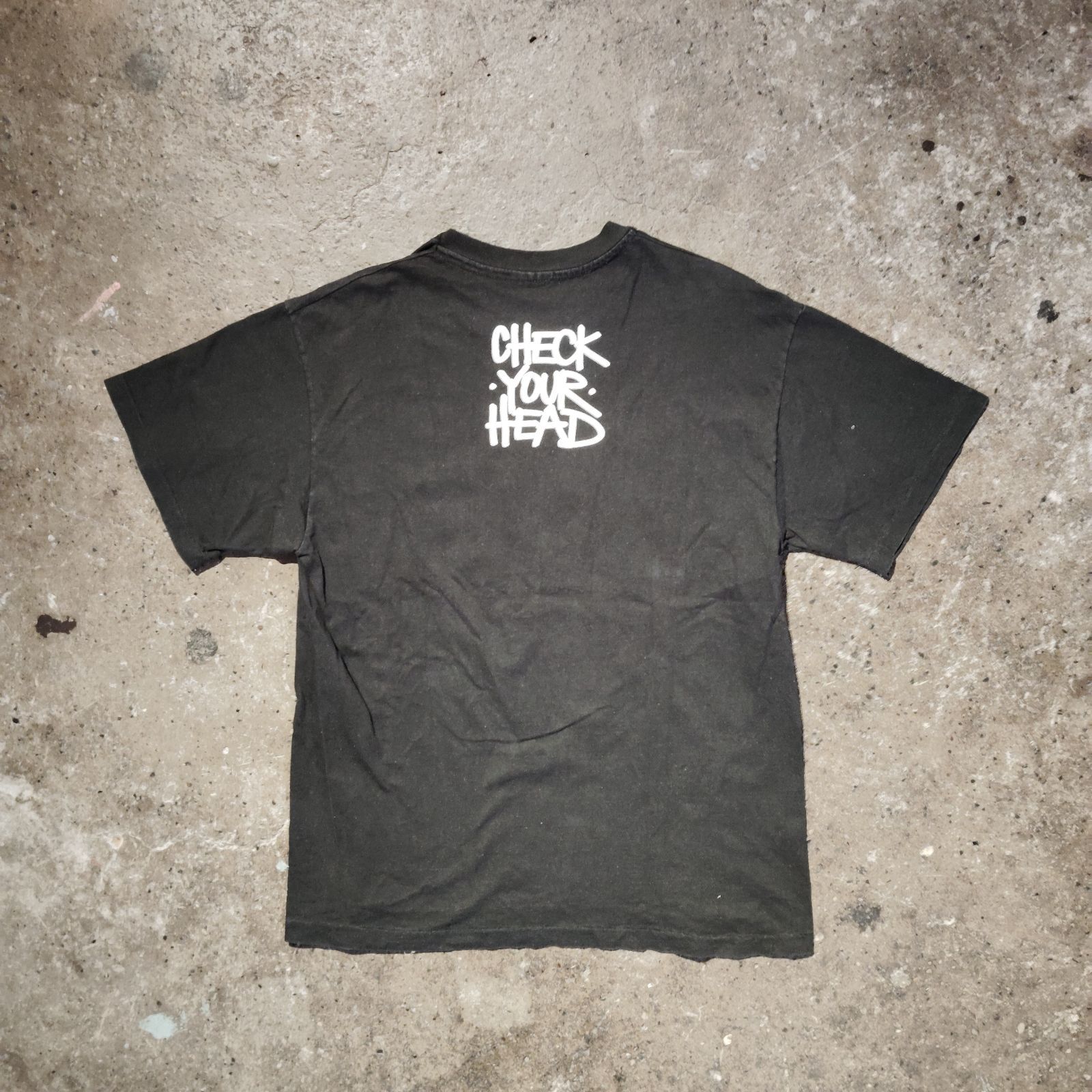 BEASTIE BOYS 90s USA製 CHECK YOUR HEAD Photo T-Shirt ビースティ 