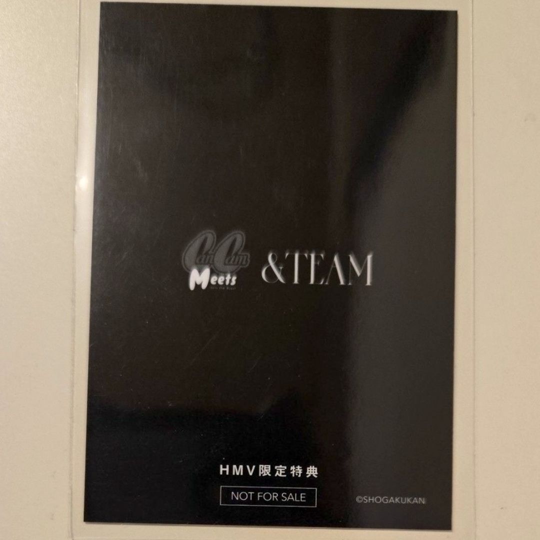 &TEAM エンティーム NICHOLAS ニコラス トレカ 手つなぎカード HMV限定