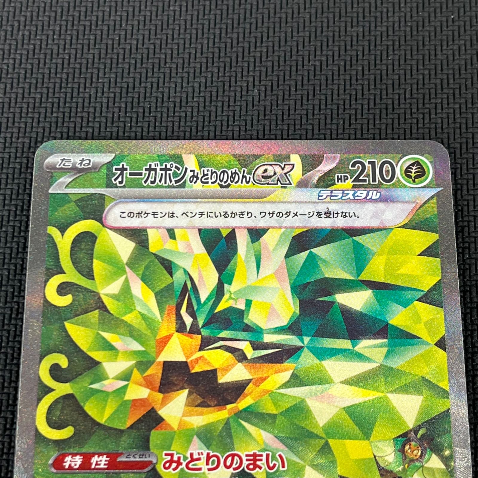 ポケカ オーガポンみどりのめんex SAR 125/101/SV6/B 変幻の仮面