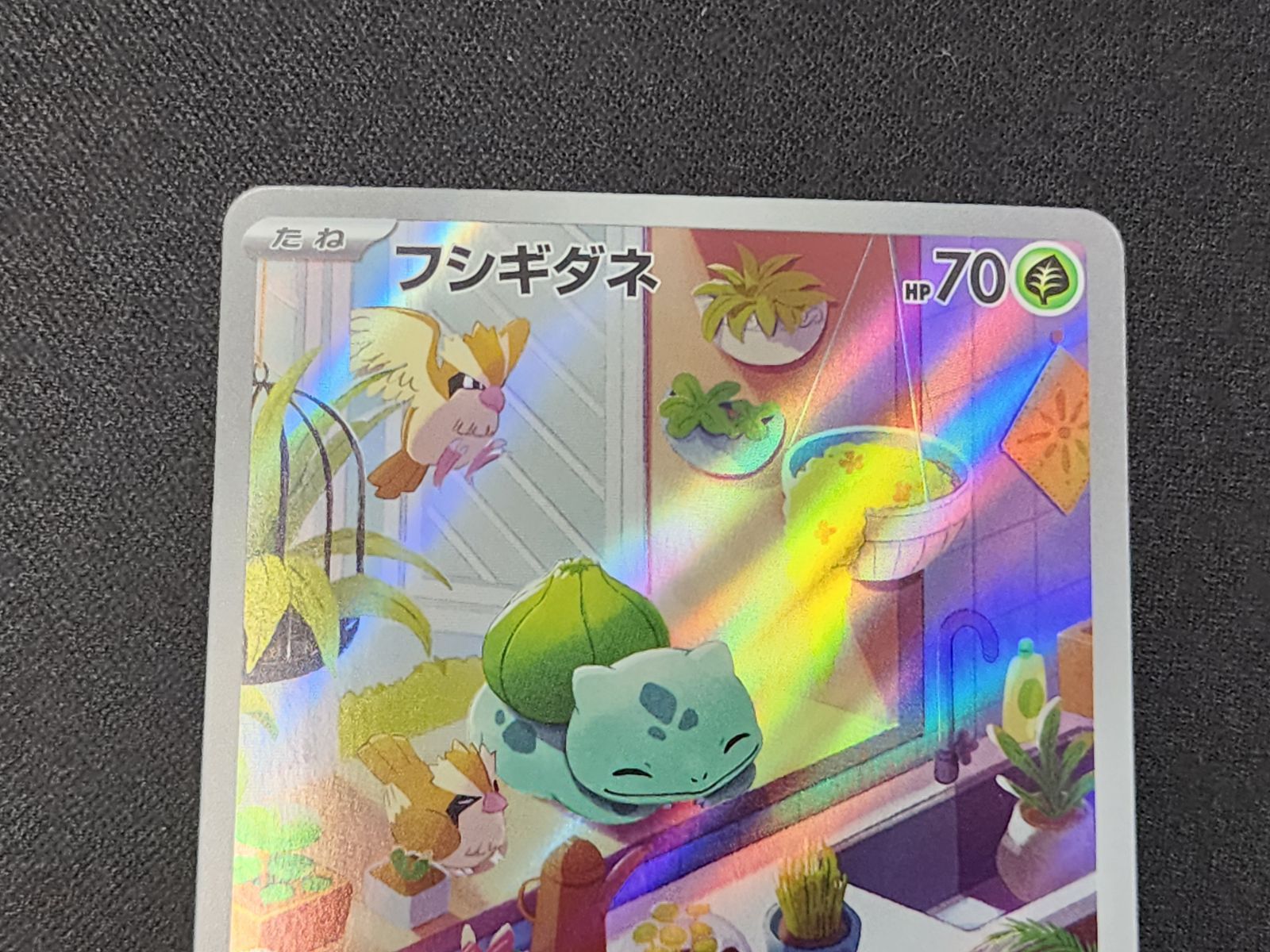 PC ポケモンカード フシギダネ AR仕様 050/049 SVG スペシャルデッキ