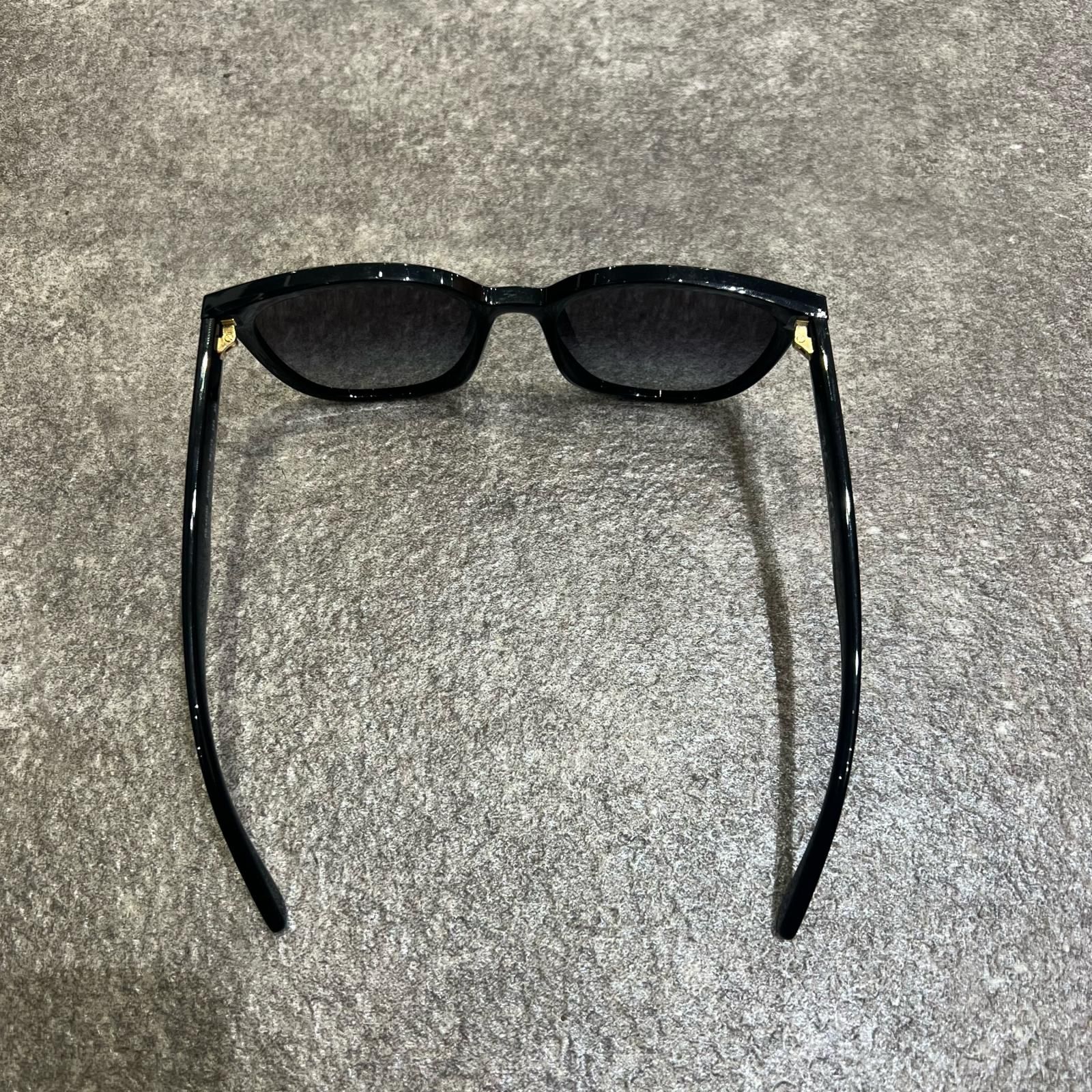 Ray-Ban 2025 YEAR OF THE SNAKE EDITION スネークエディション