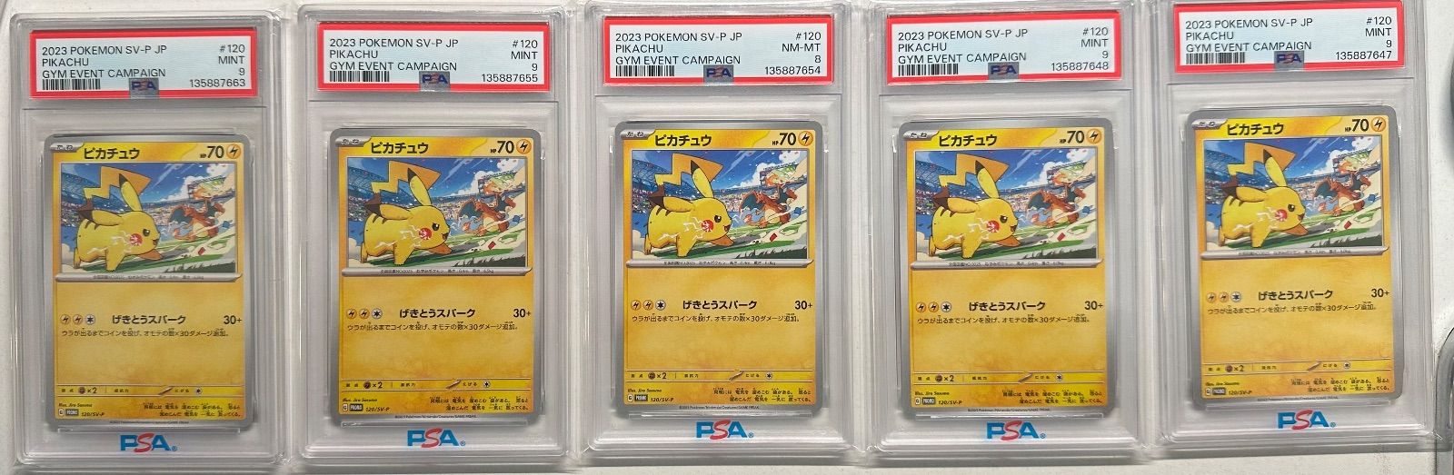 PSA9、8 ピカチュウ PROMO SV-Pプロモカード 120/SV-P 【公式通販】