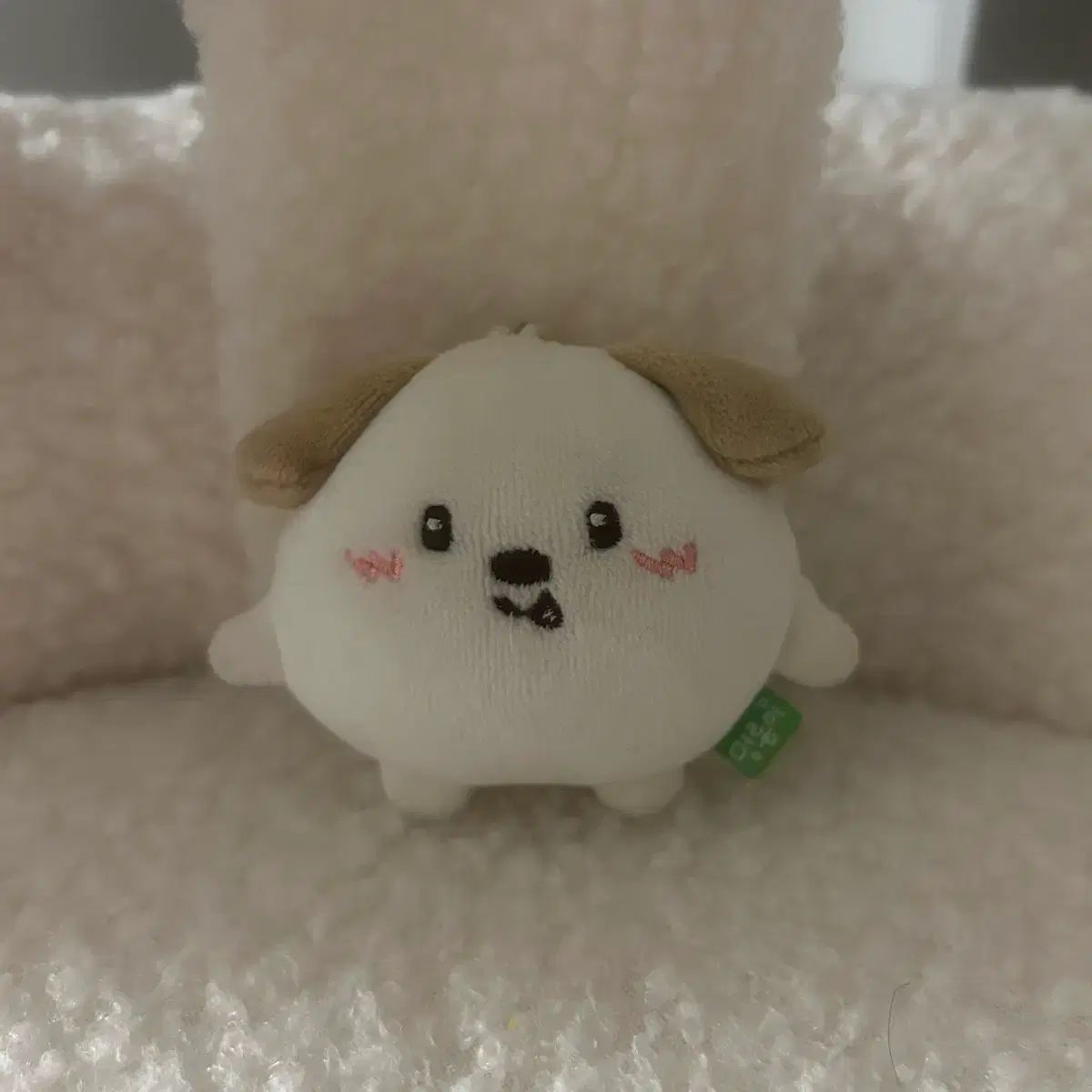 RIIZE アントン ミニ 迷子