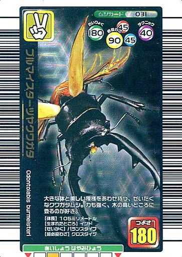 中古】ムシキング 031[銀]：ブルマイスターツヤクワガタ - メルカリ