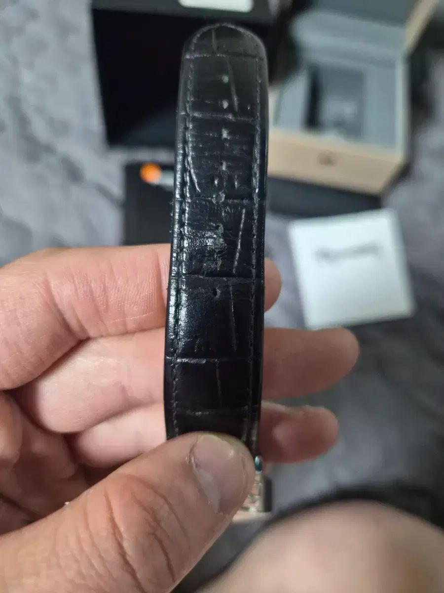 ハミルトン ベンチュラ