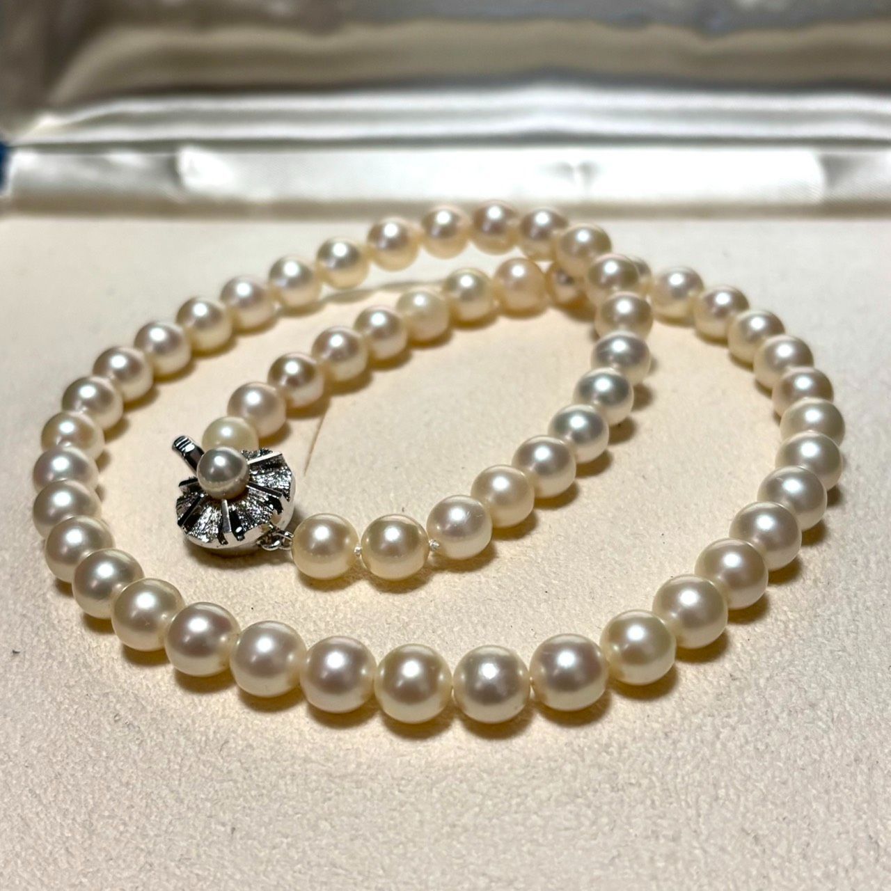 Pearl 【16.0mm/白蝶真珠】ネックレス シルバー金具 Pearl Jewelry 
