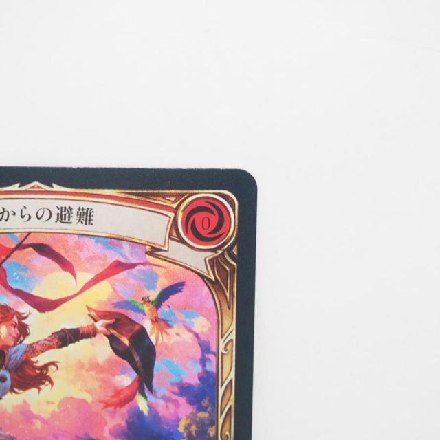FLESH AND BLOOD 嵐からの避難 JP ANQ010 Rainbow Foilトレカ ∴WU4734
