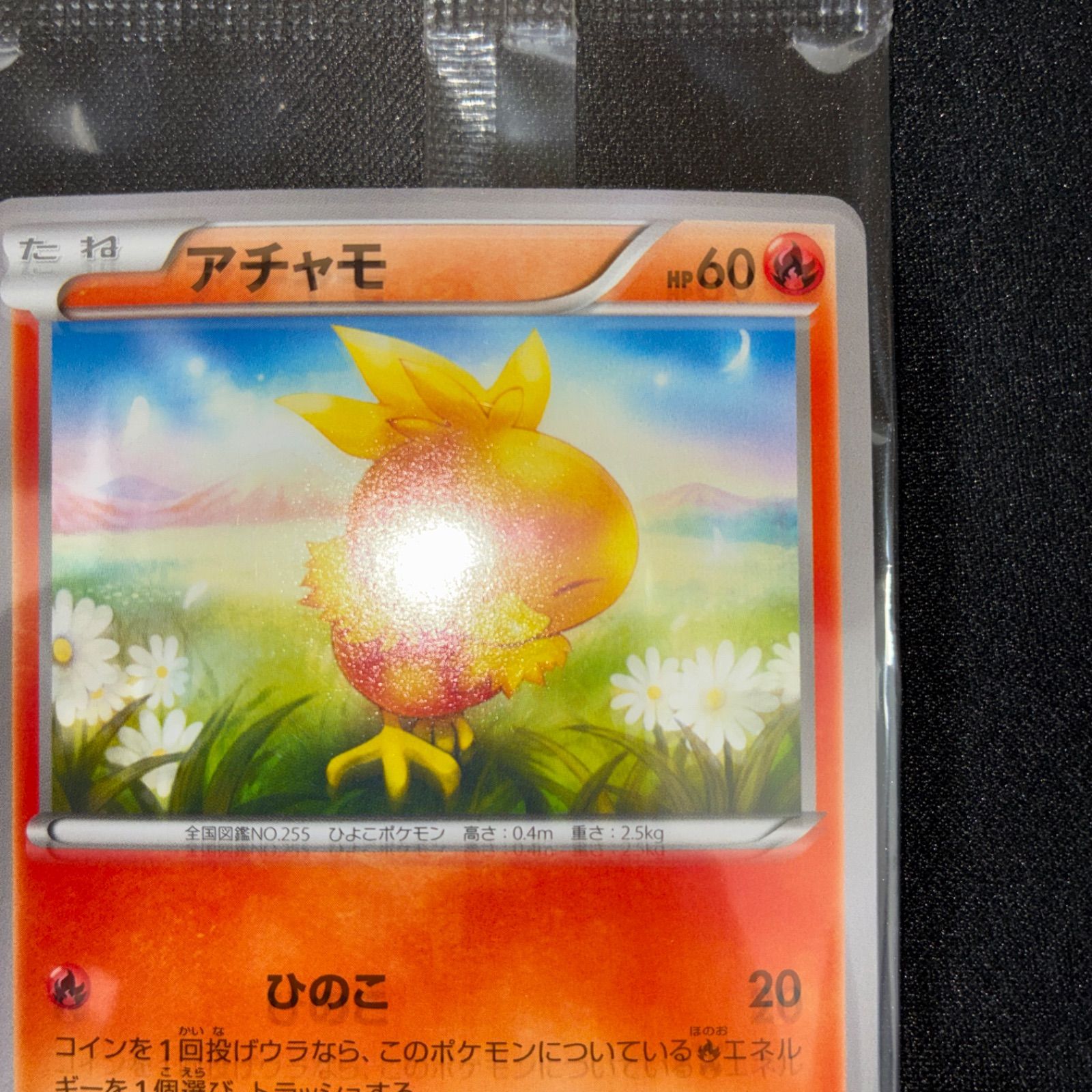 未開封 アチャモ プロモ 108/XY-P コンビニ - メルカリ