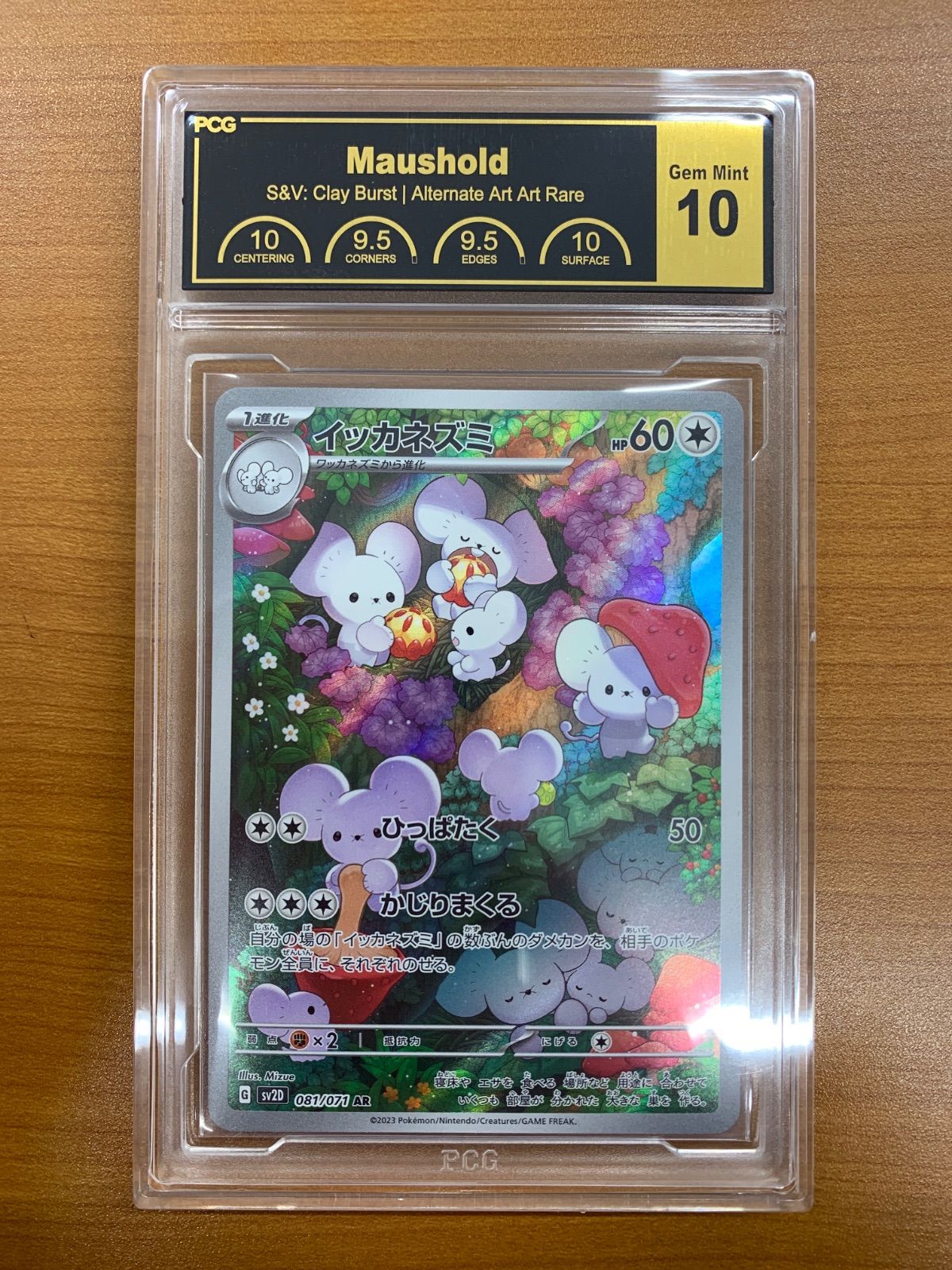 PCG10 イッカネズミ AR 081/071 ポケカ ポケモン ポケモンカード 