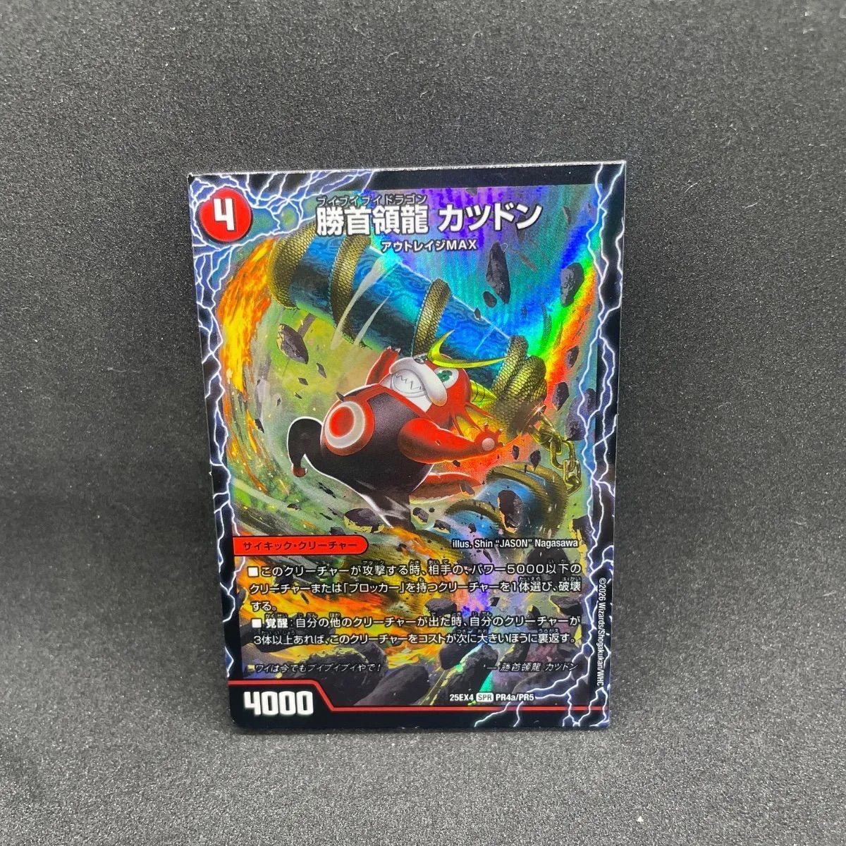 勝首領龍 カツドン - メルカリ