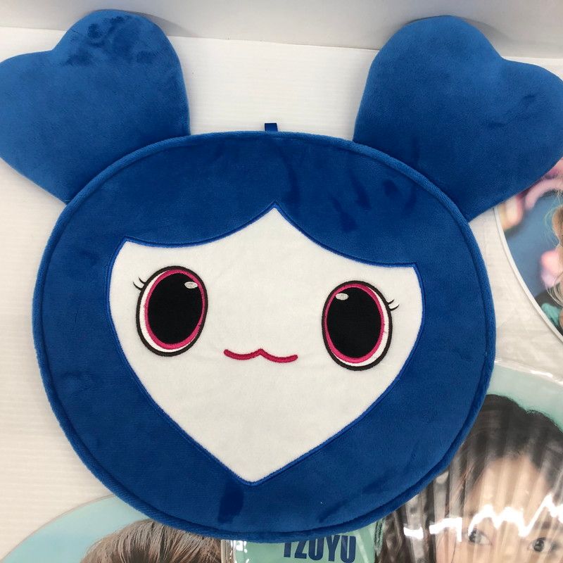 TWICE TZUYU トゥワイス ツウィ うちわ 14点うちわケース付き セット