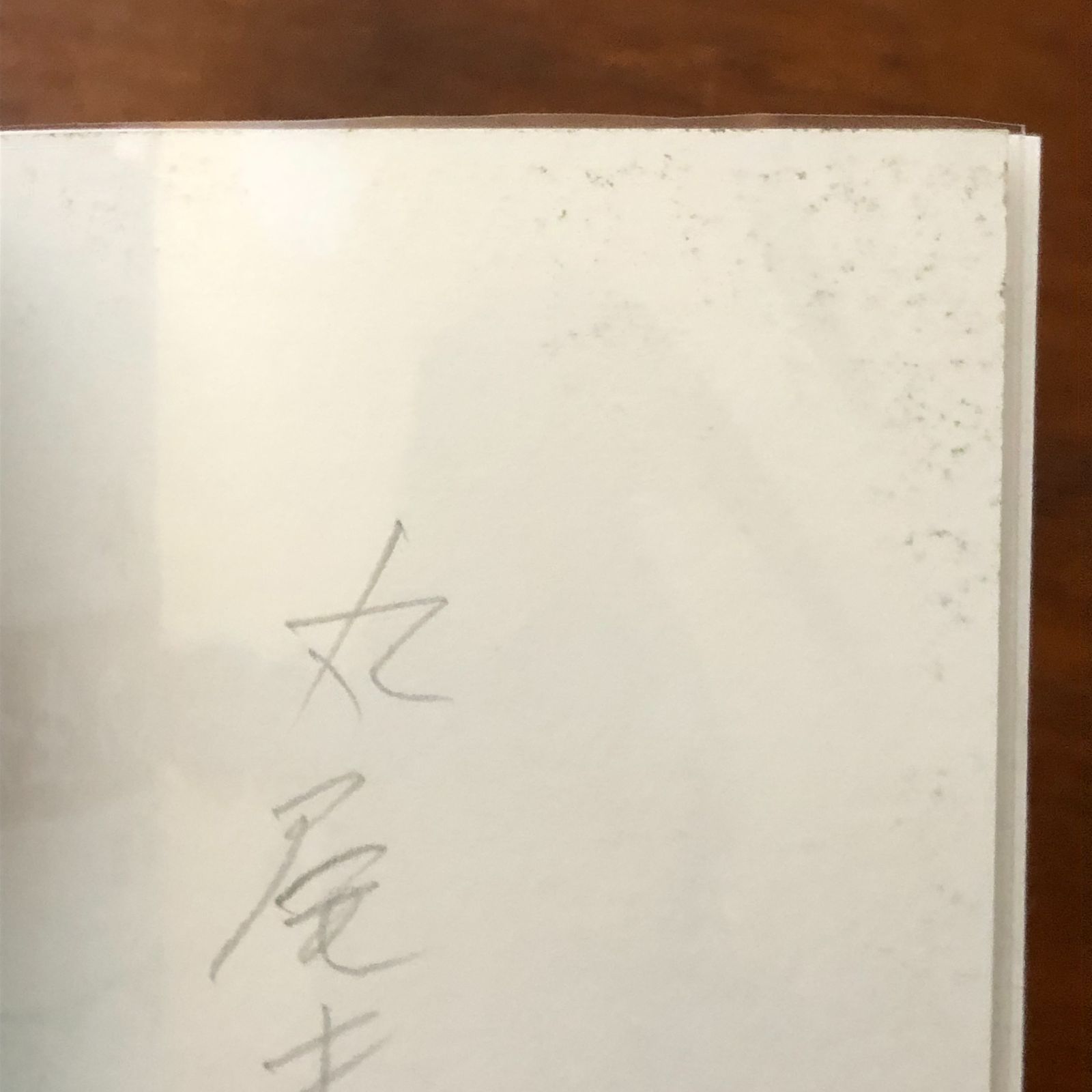 丸尾末広肉筆原画入】和本シリーズ6 九十九万人の生娘 丸尾末広 虹書房
