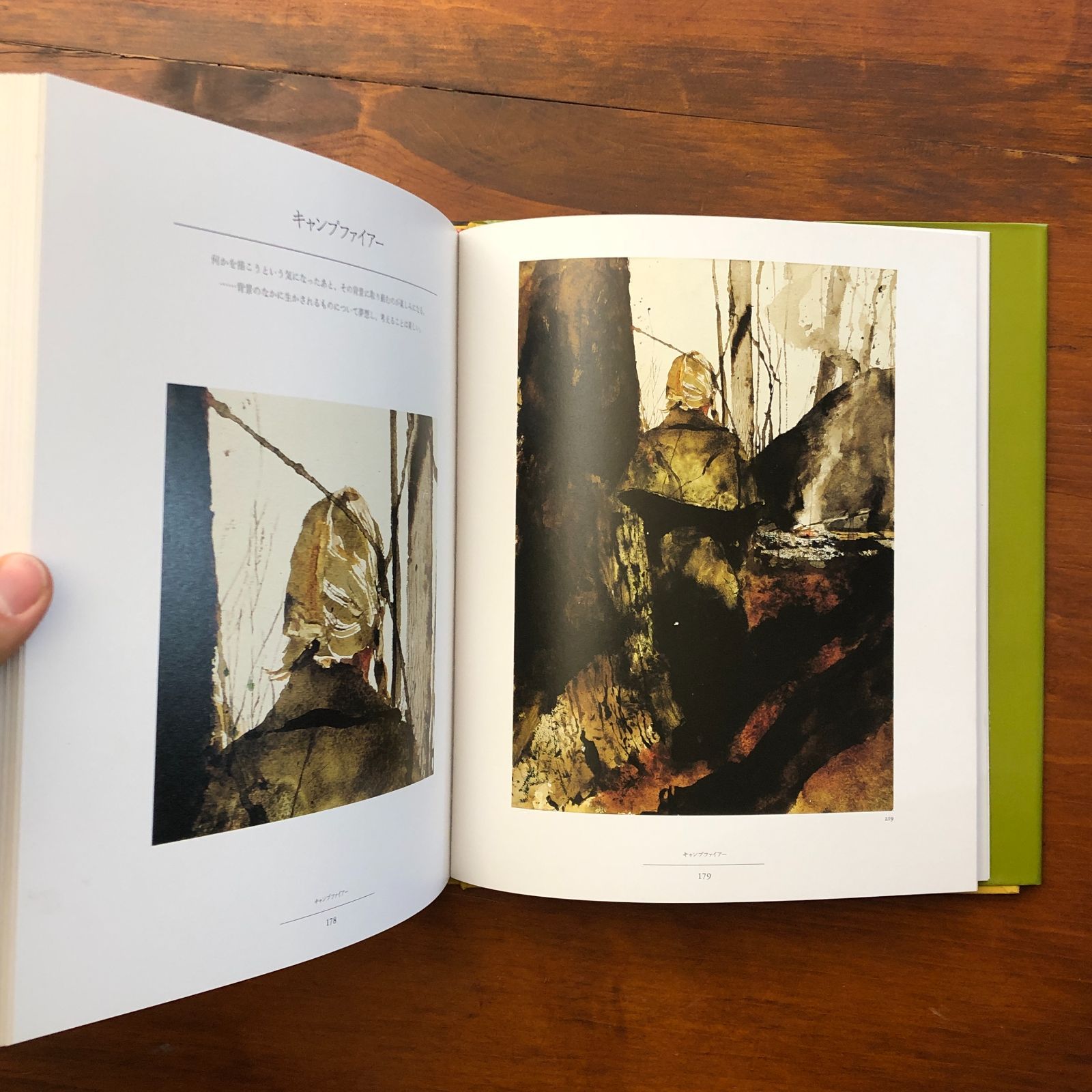 ANDREW WYETH HELGA ワイエス画集 3 ヘルガ アンドリュー・ワイエス