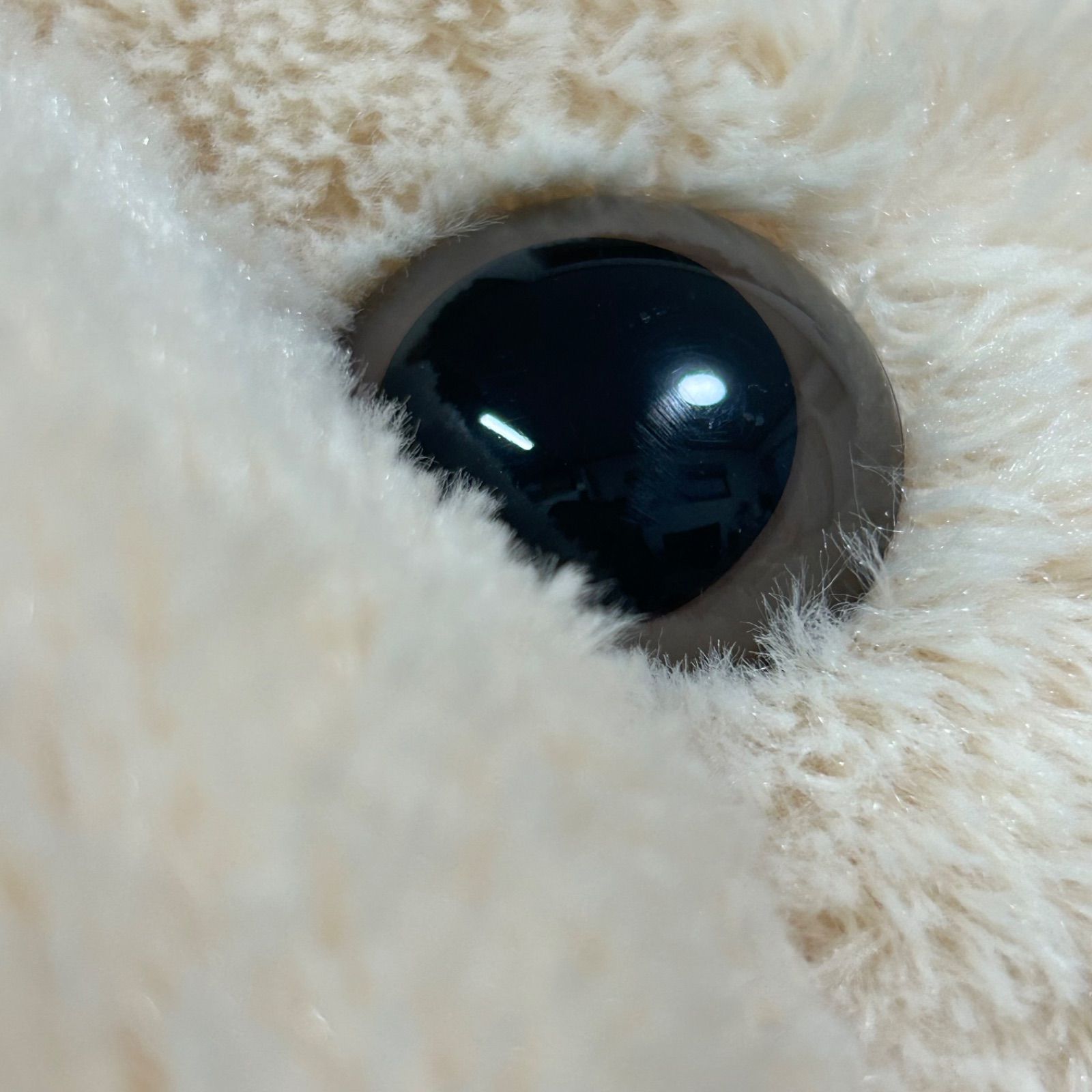 ディズニーシー ダッフィー 特大 ぬいぐるみ Lサイズ(旧LLサイズ