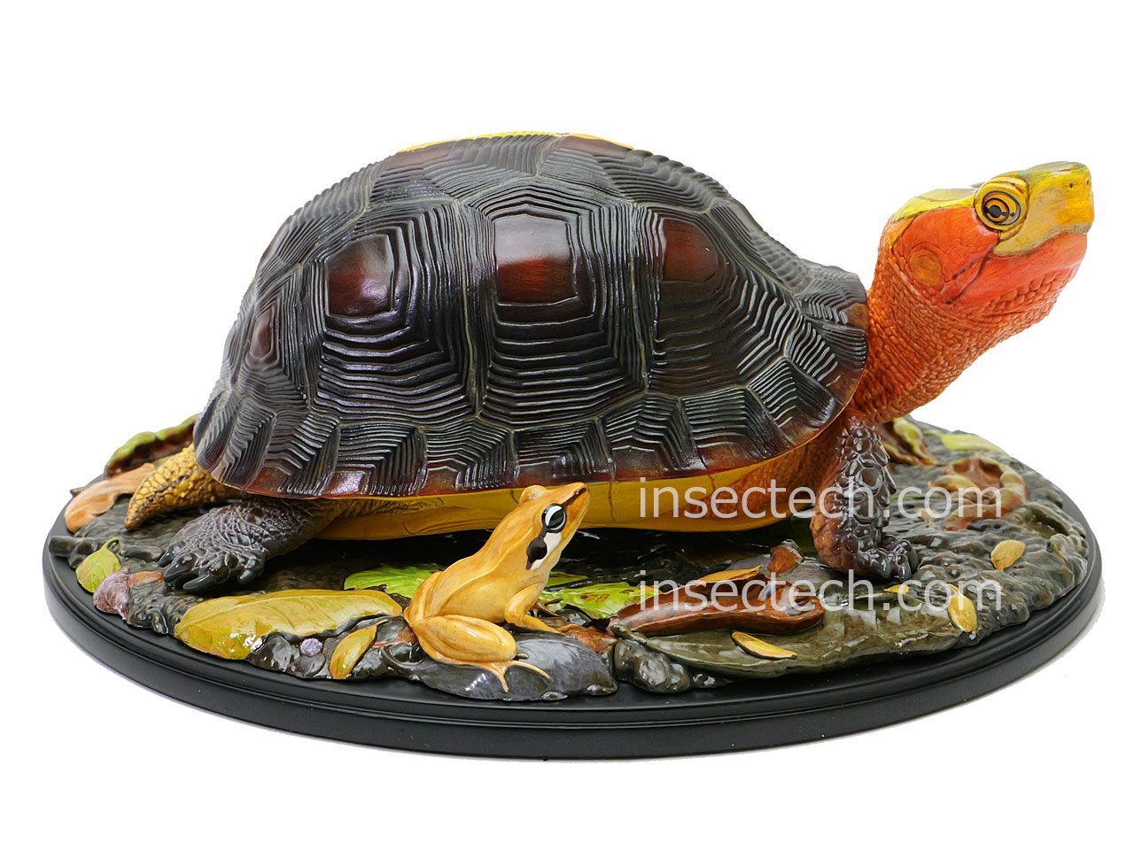 新！【動物の惑星 写実シリーズ】第四弾 初回アカガエル付属