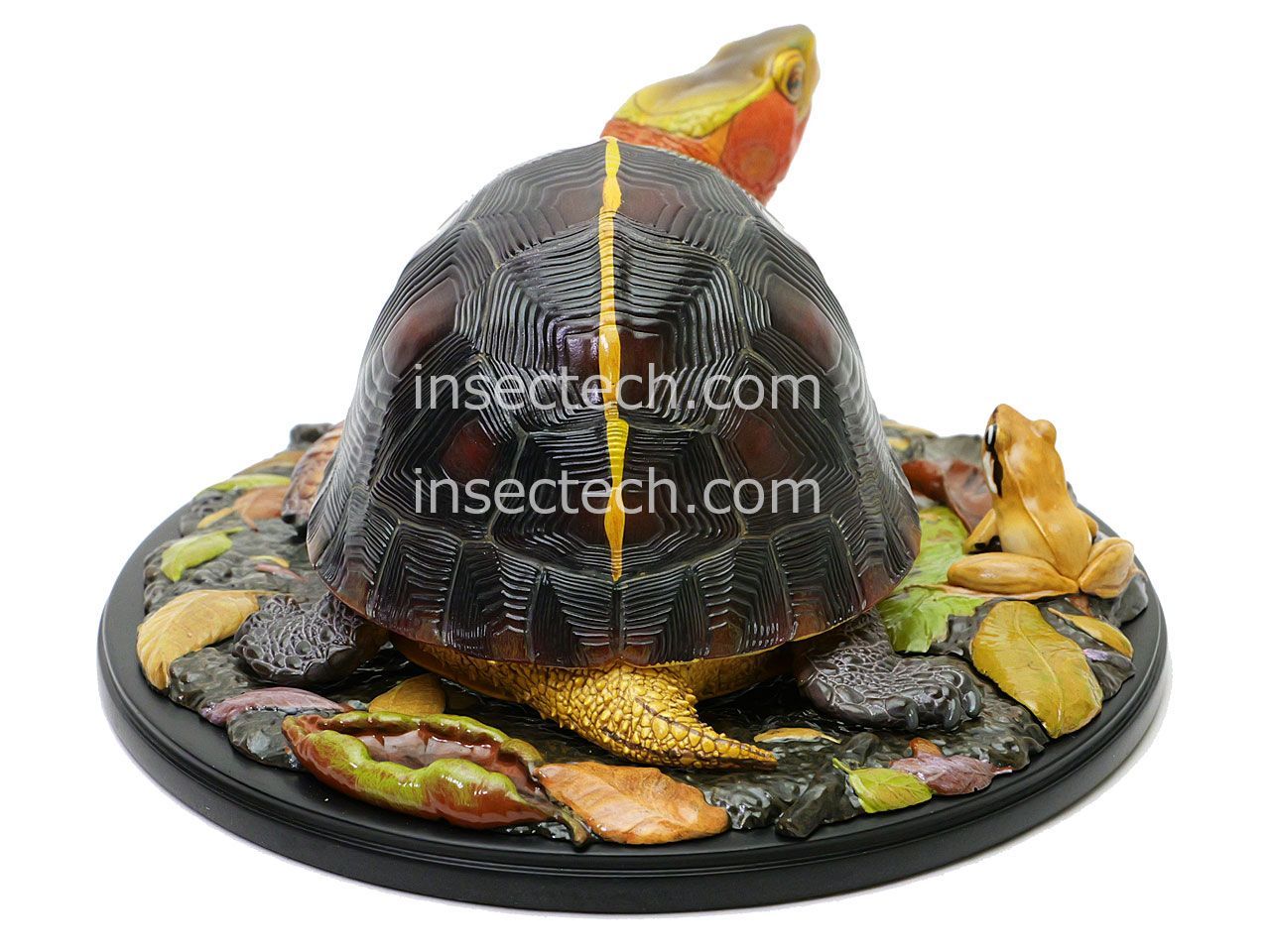 新！【動物の惑星 写実シリーズ】第四弾 初回アカガエル付属