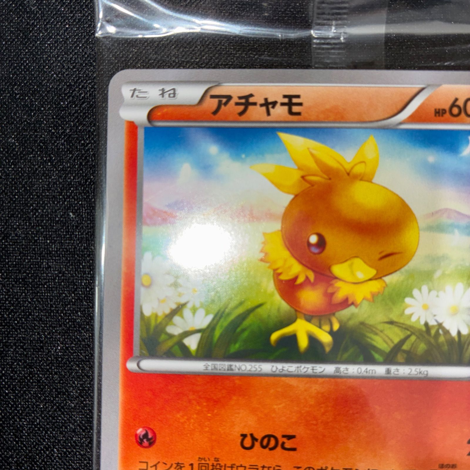 未開封 アチャモ プロモ 108/XY-P コンビニ - メルカリ