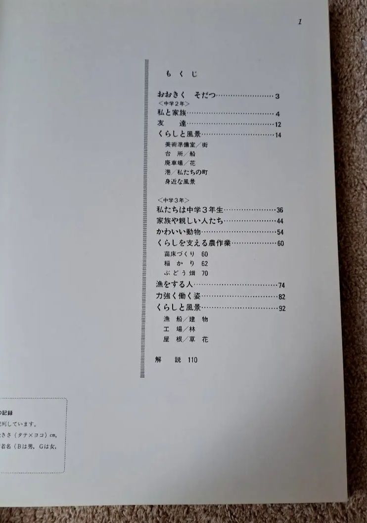 日本教育版画選集 くらしを彫る子どもたち～中学校下 美術 教育 図工