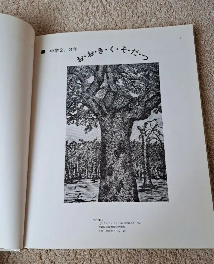 【希少品】 日本教育版画選集 『くらしを彫る子供たち』全16巻セット 美品 日本教育版画選集 くらしを彫る子どもたち～中学校下 美術 教育 図工