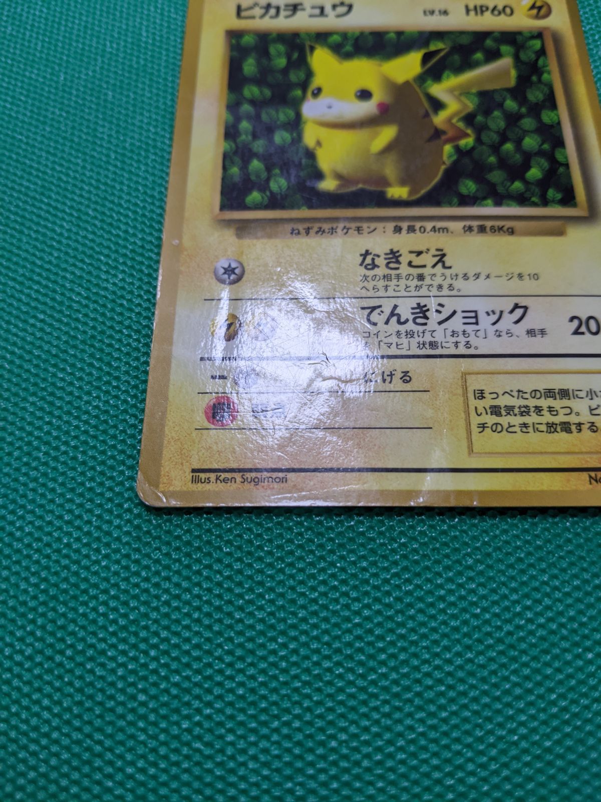 ピカチュウ コロコロコミック 付録カード 光沢あり ポケモン ken