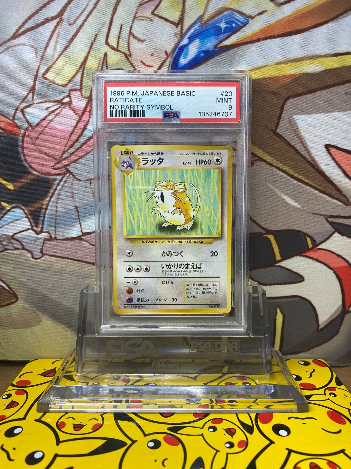 PSA9 ラッタ 旧裏 初版 マークなし - メルカリ