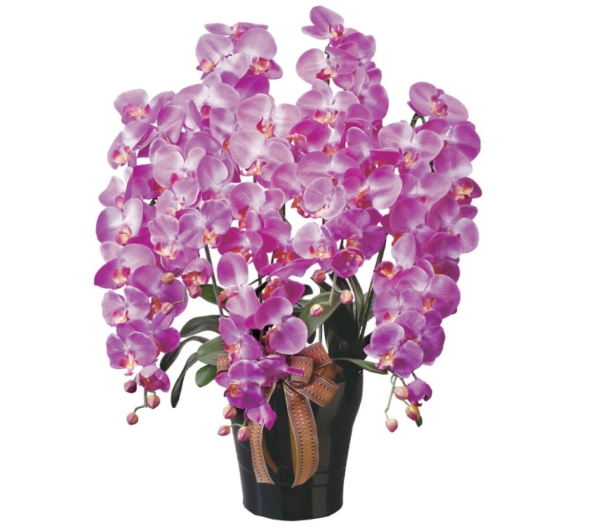 光触媒　人工観葉植物　ウォールグリーン　フェイクグリーン　ロイヤル胡蝶蘭５本立L 光触媒 人工観葉植物 ウォールグリーン フェイクグリーン ロイヤル胡蝶