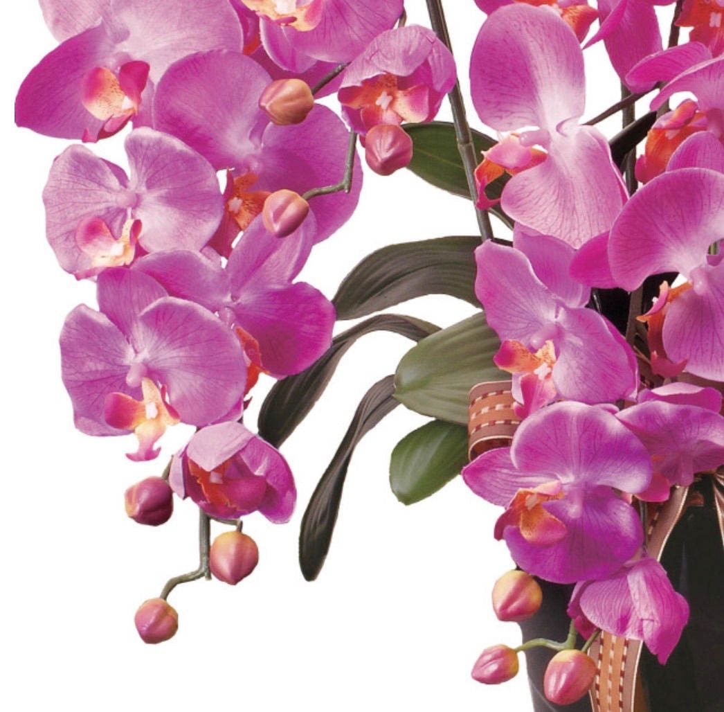 光触媒 人工観葉植物 ウォールグリーン フェイクグリーン ロイヤル胡蝶