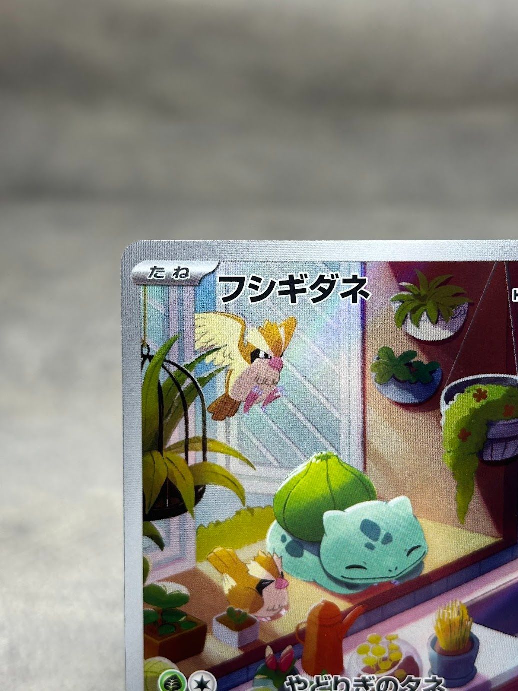 ポケモンカード フシギダネ AR 050/049 スペシャルデッキセットex