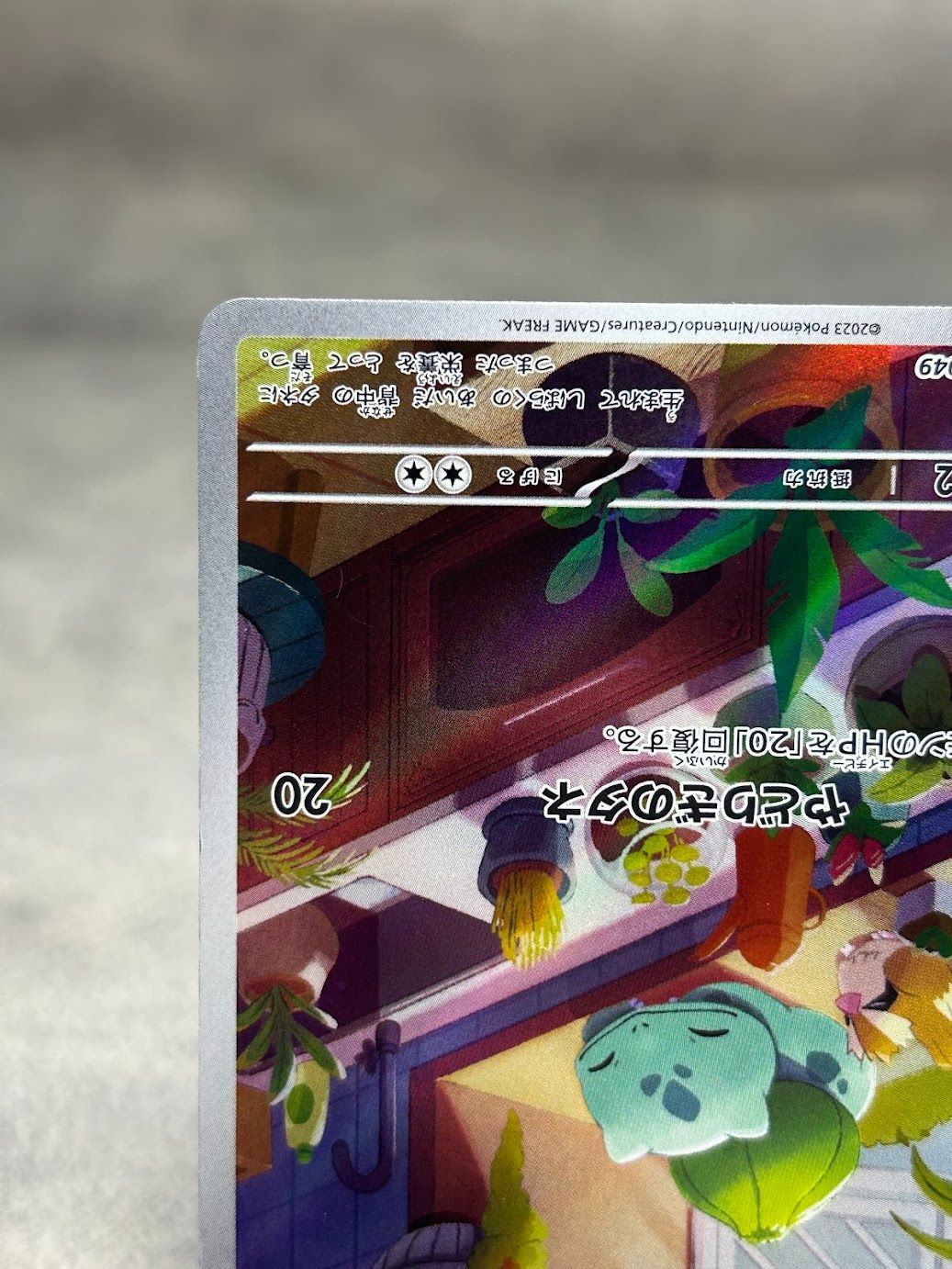 ポケモンカード フシギダネ AR 050/049 スペシャルデッキセットex