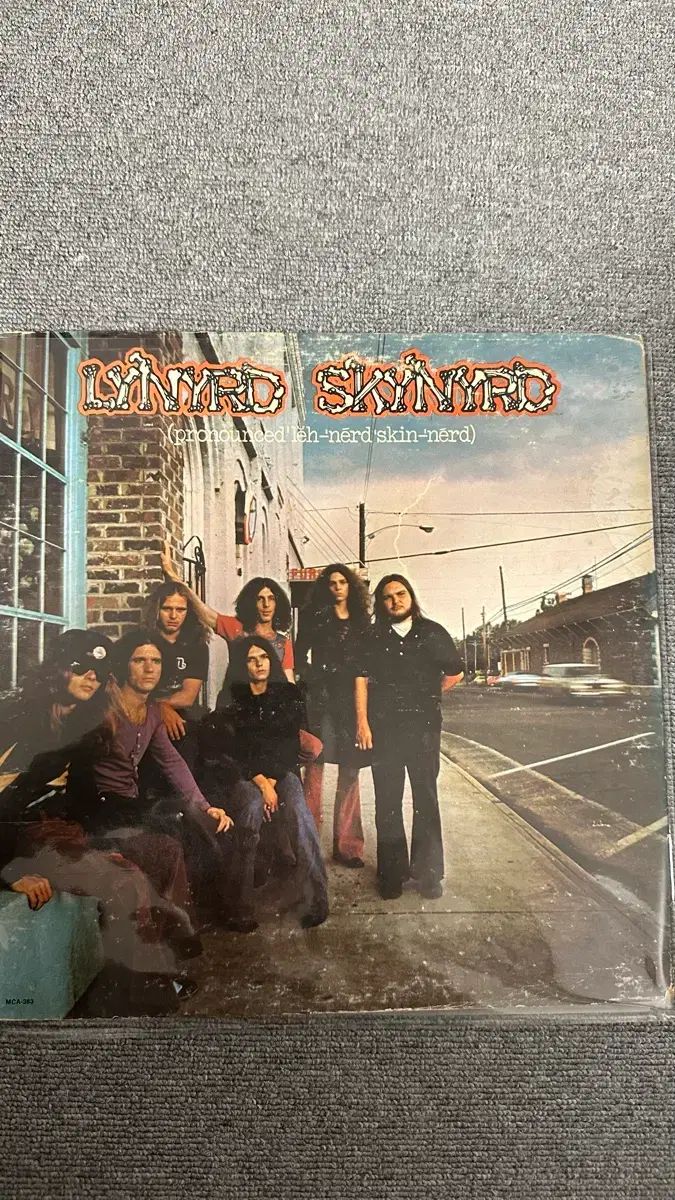 レナード スキナード Lynyrd Skynyrd LP - メルカリ