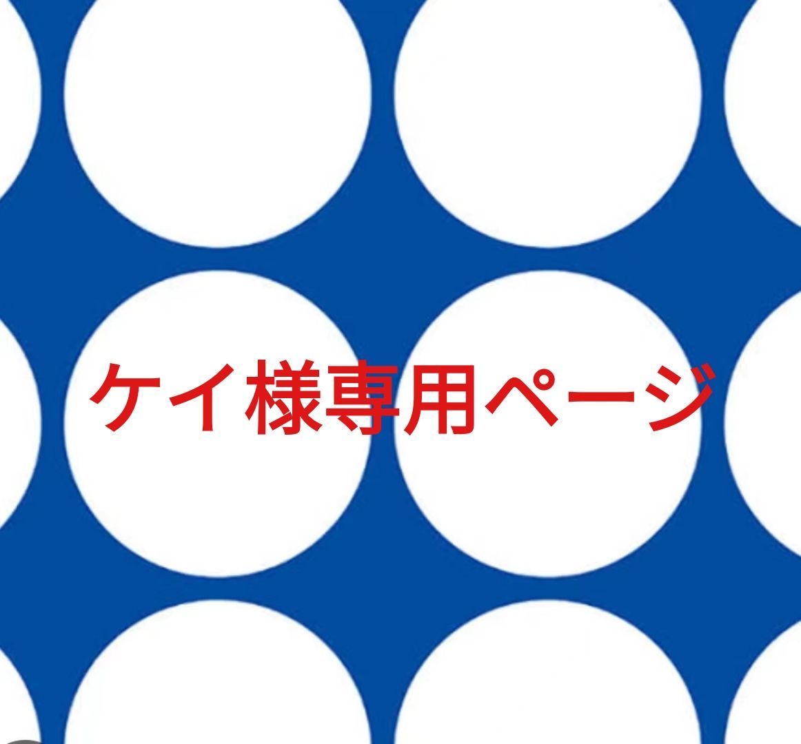けーさま専用 けー様専用ページ Keiさま専用 ケー様専用 専用
