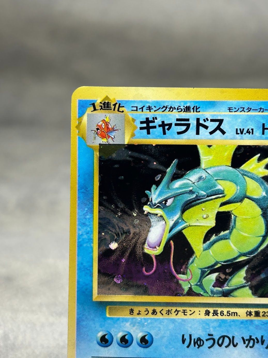 ポケモンカード ギャラドス 旧裏 第1弾拡張パック 収録 中古品 - メルカリ