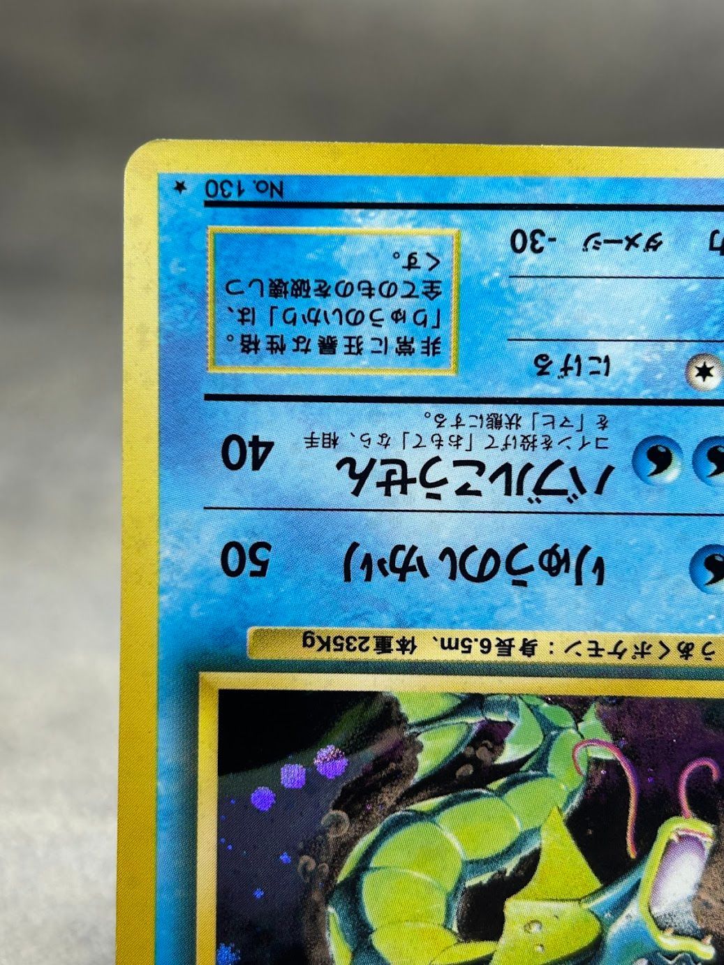 ポケモンカード ギャラドス 旧裏 第1弾拡張パック 収録 中古品 - メルカリ
