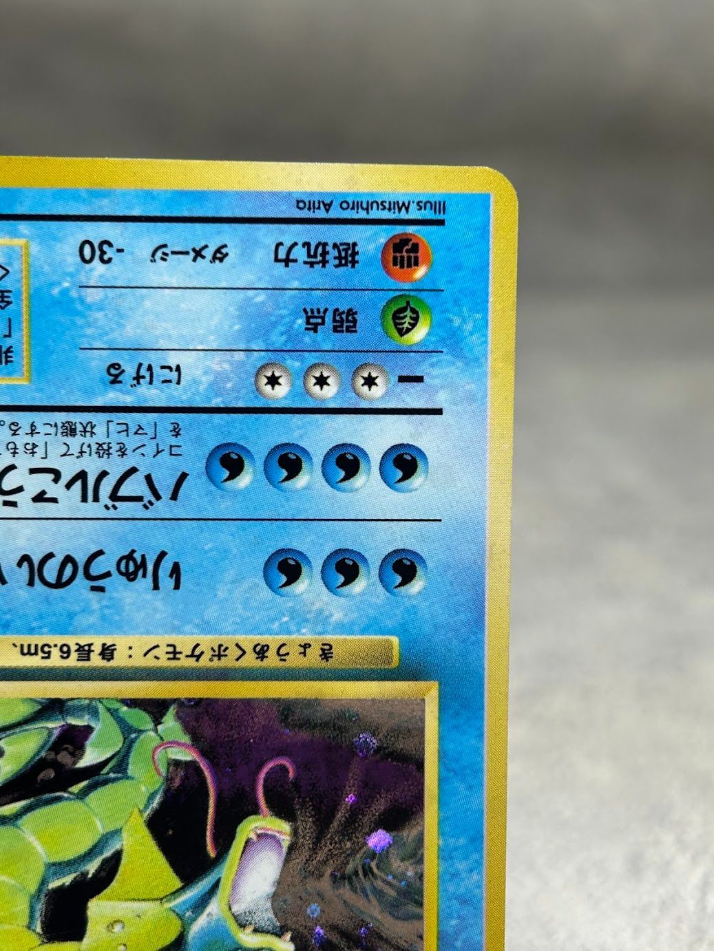 ポケモンカード ギャラドス 旧裏 第1弾拡張パック 収録 中古品 - メルカリ