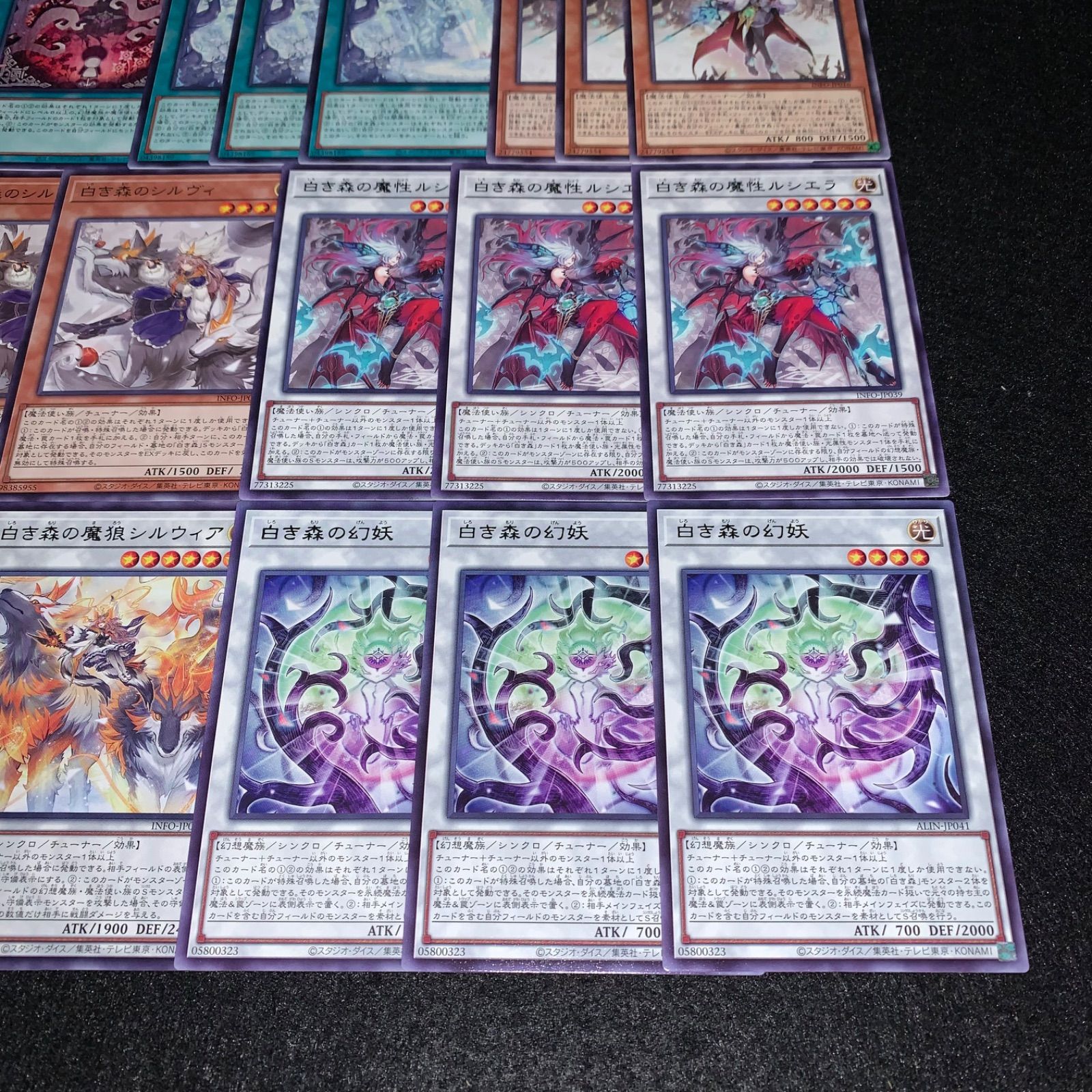 遊戯王 KY598 白き森にはいるべからず 白き森の魔女 白き森のルシア