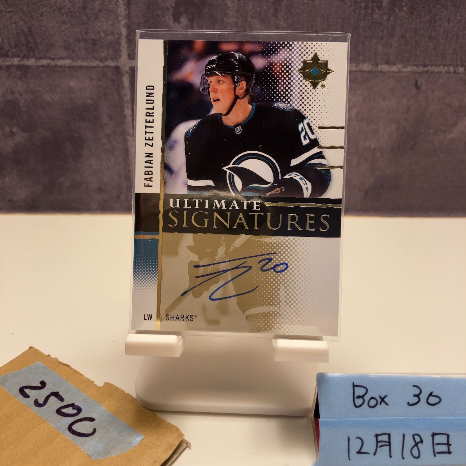 2024-25 Upper Deck Fabian Zetterlund 直筆サインカード San Jose