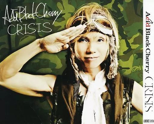 中古】生活雑貨(男性) Acid Black Cherry オリジナルスリーブケース