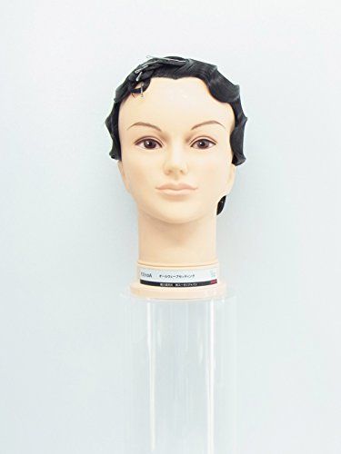 新品 ユーカリジャパン オールウェーブ セッティング専用ウィッグ YJ