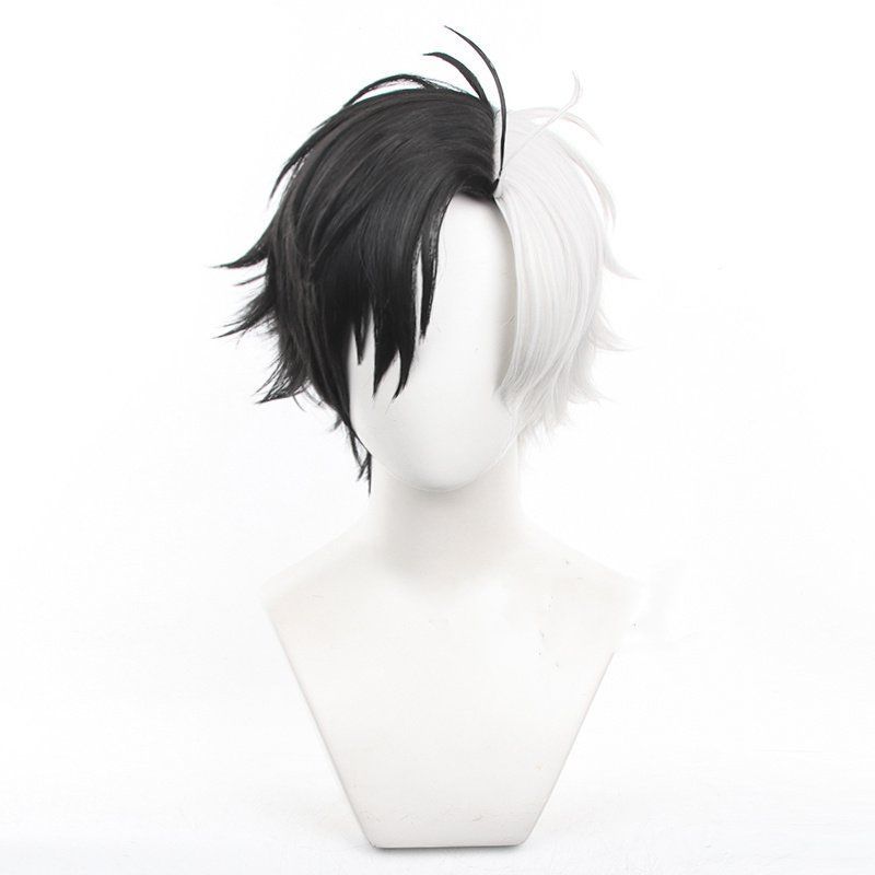 桜遥 WIND BREAKER コスプレウィッグ キャラウィッグ新品未使用 - メルカリ