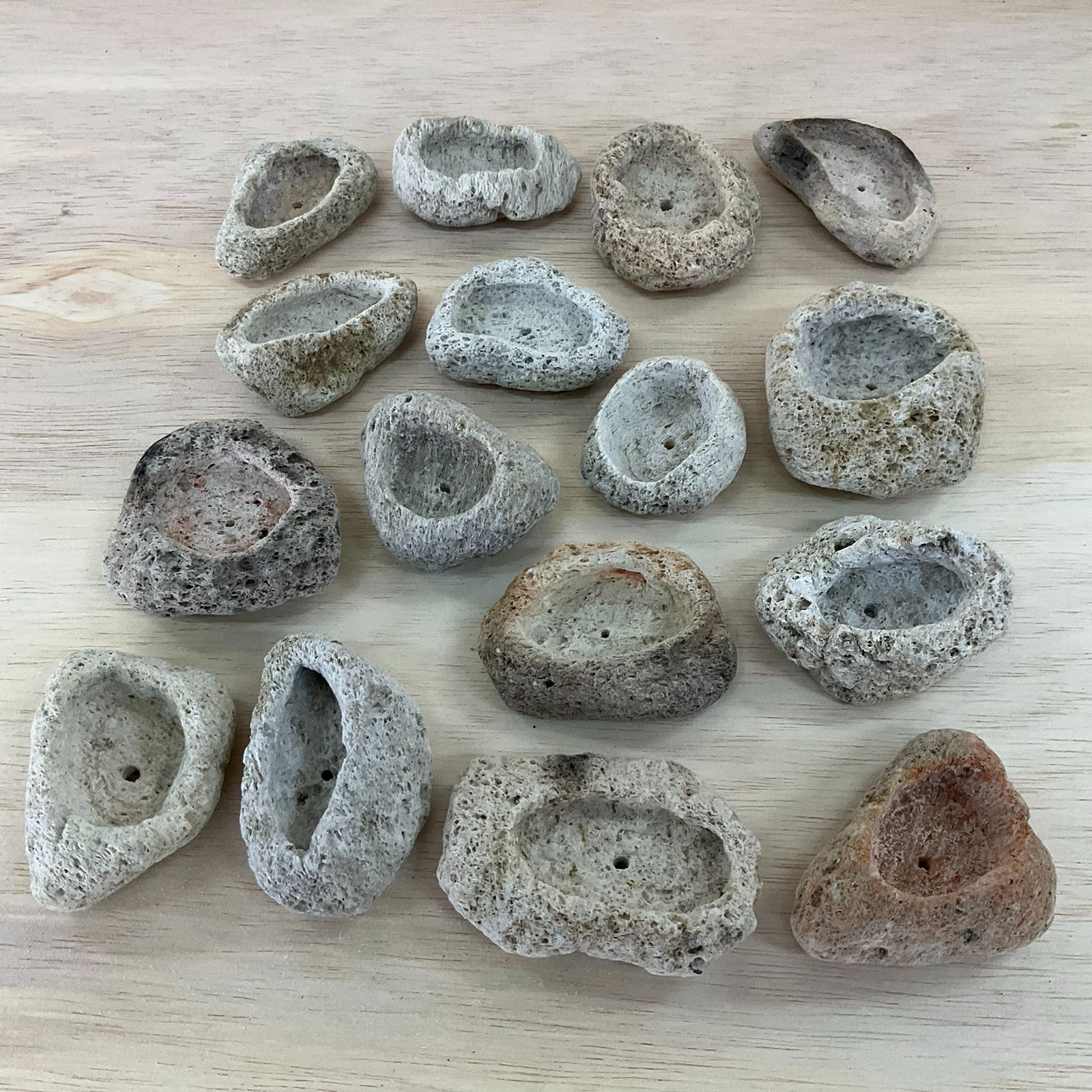 アイテラスの軽石鉢 16点セット｜軽量＆通気性抜群｜観葉植物や多肉