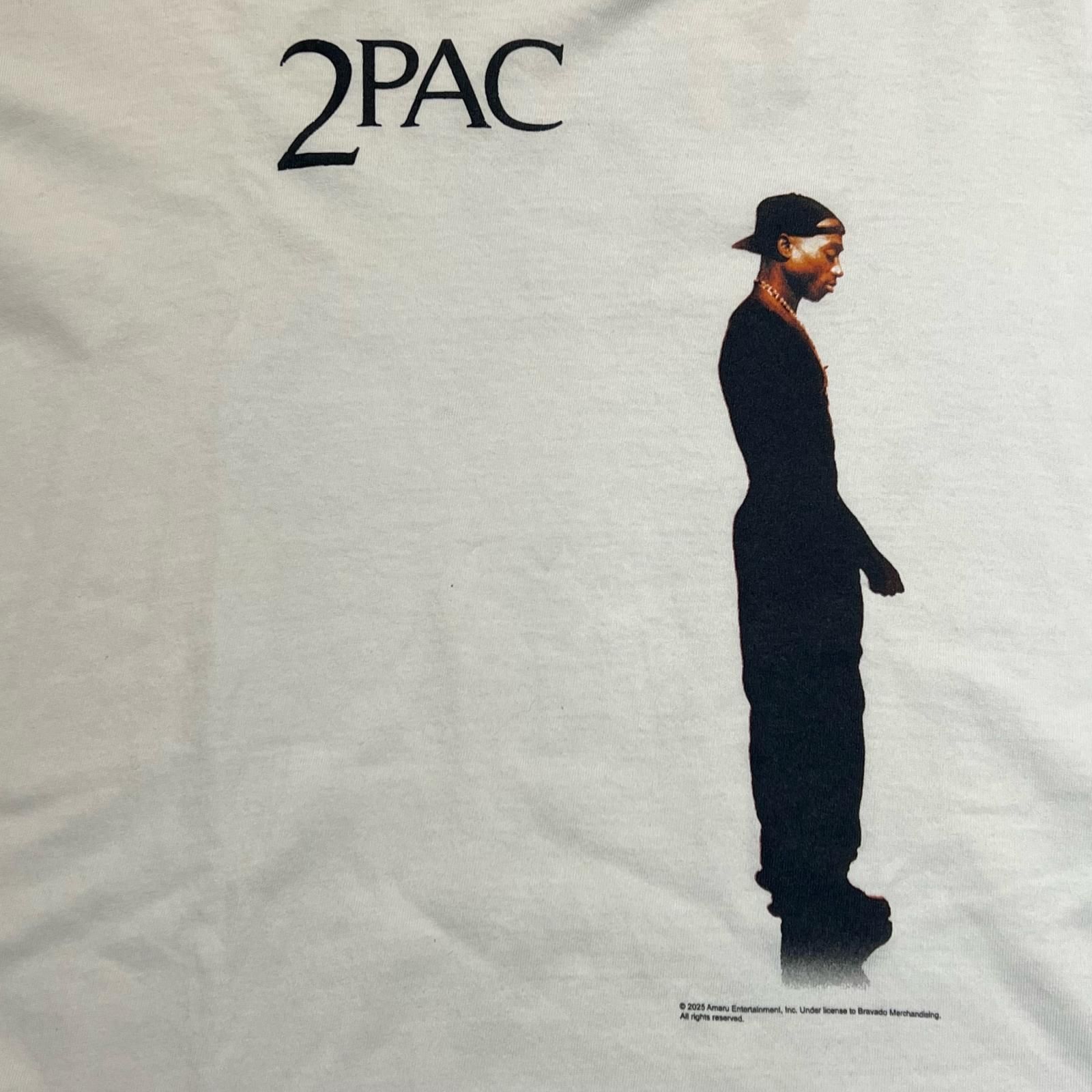 SAINT MICHAEL 2PAC S/S TEE Tシャツ セントマイケル SM-HR8-0000-C15 