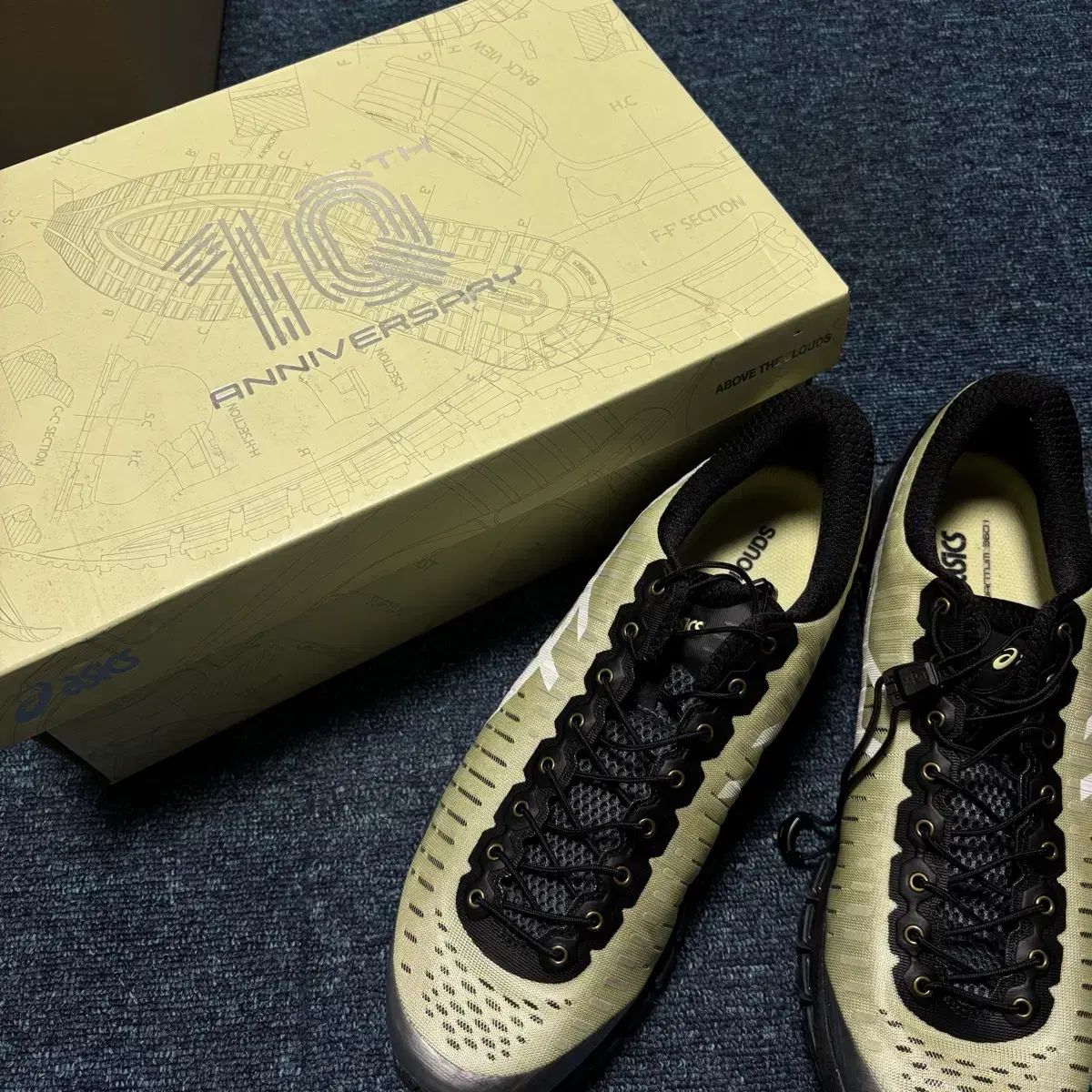 アシックス x VOV アボブ・ザ・クラウズ ゲル クォンタム 360 290