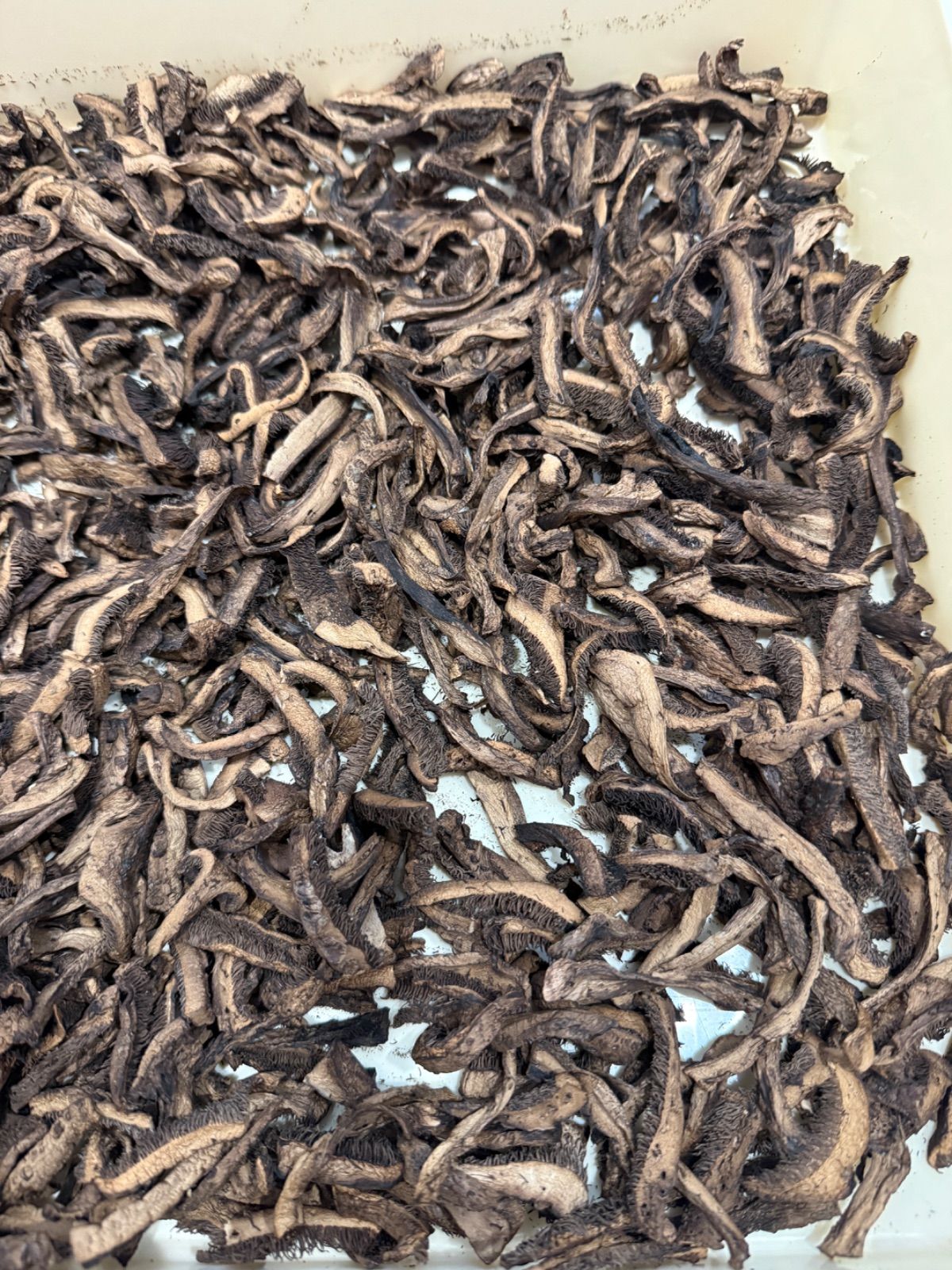 2025年採り】岩手産乾燥香茸20g【カット済】- メルカリ