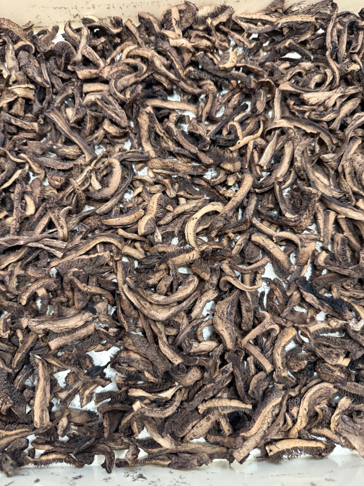 2025年採り】岩手産乾燥香茸20g【カット済】- メルカリ