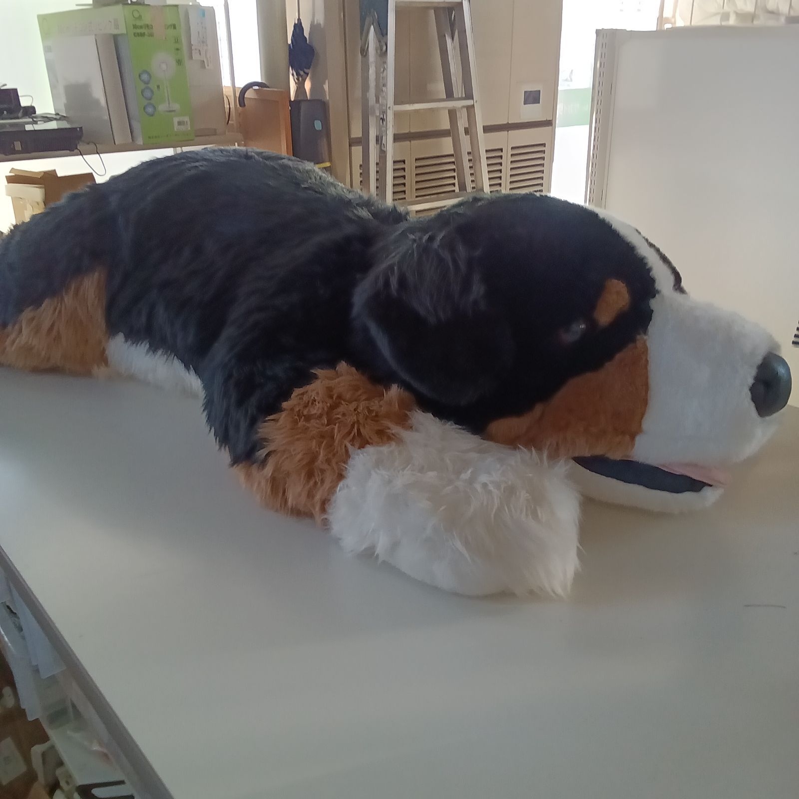 リユースのサカイつくば店 トイザらス 廃番 希少　Animal Alley アニマルアリー　バーニーズマウンテンドッグ 特大ぬいぐるみ  全長約120cm  管理0216-01