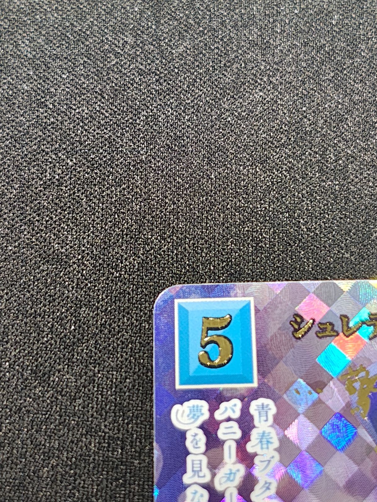 シュレディンガーの兎 桜島麻衣 br ビルディバイド青ブタ - メルカリ