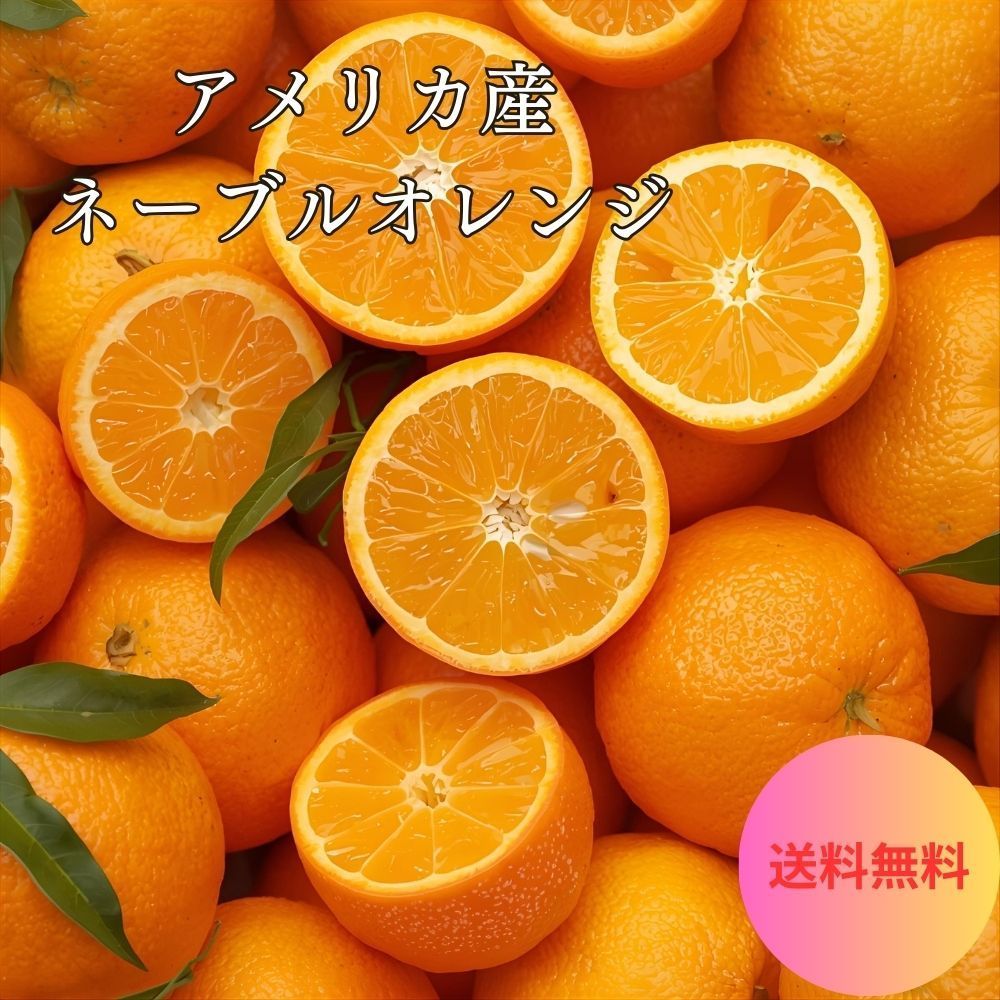 アメリカ産】ネーブルオレンジ 3kg 56玉 大玉 送料無料 - メルカリ