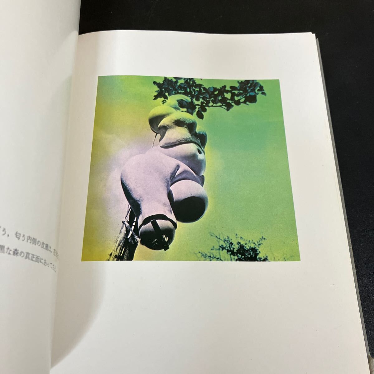 ハンス・ベルメールイマージュの解剖学眼は未開の状態にある叢書4種村季弘